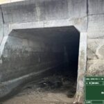 道長第４号の１０（国）３１７号　橋りょう補修工事