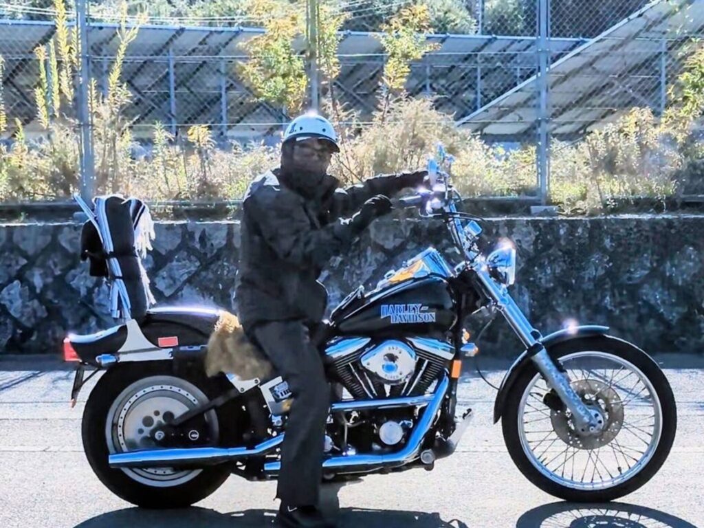 ハーレーの写真